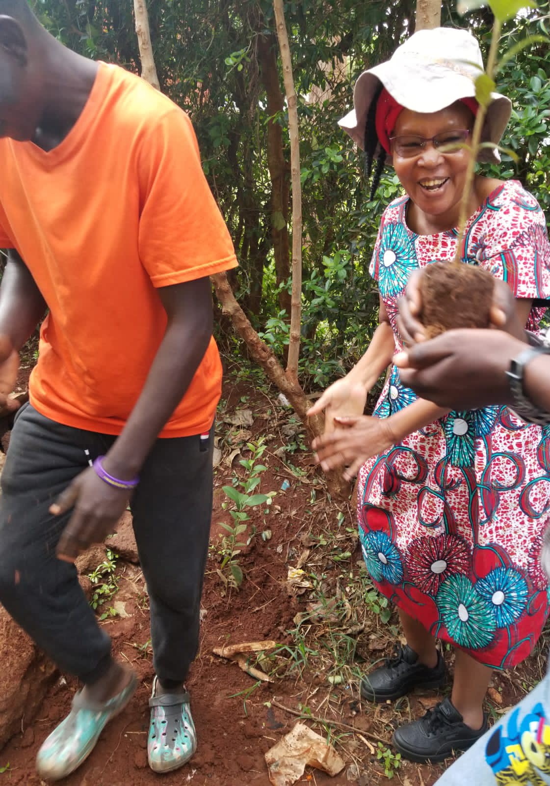 tree planting photo